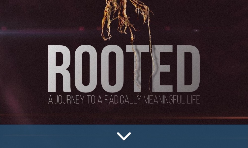 ROOTED